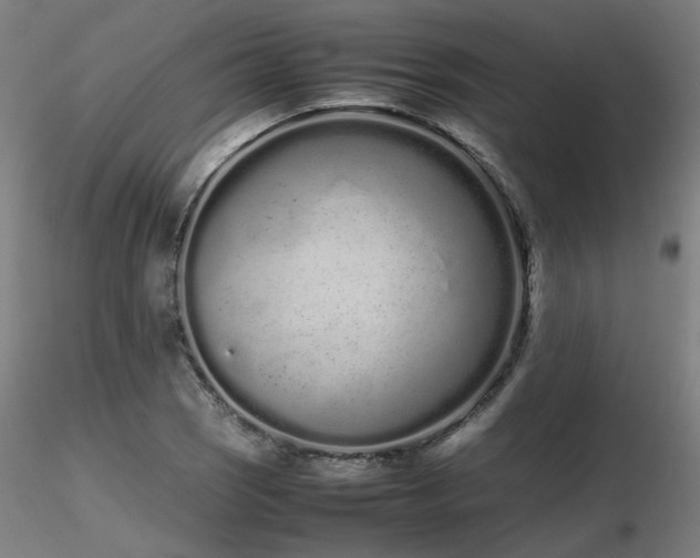 X0000116841121200912181451