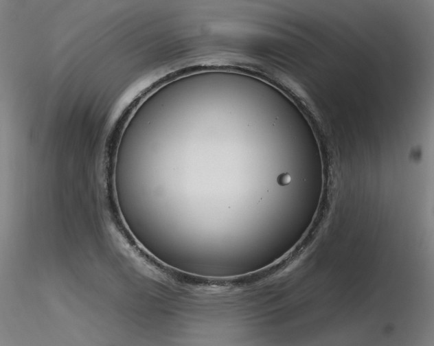 X0000116841122200912181451