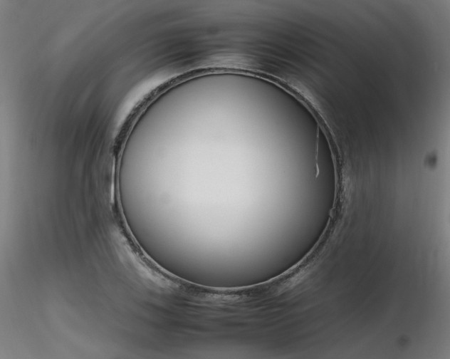 X0000116841123200912181451