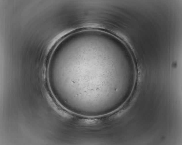 X0000116841125200912181451