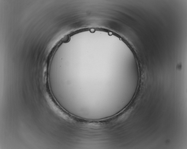 X0000116841126200912181451
