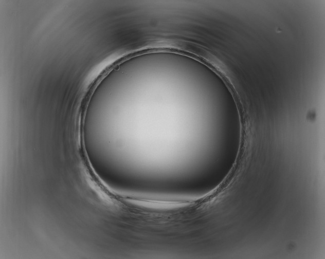 X0000116841127200912181451