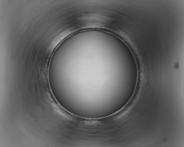 X0000116841129200912181451
