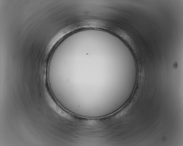 X0000116841130200912181451