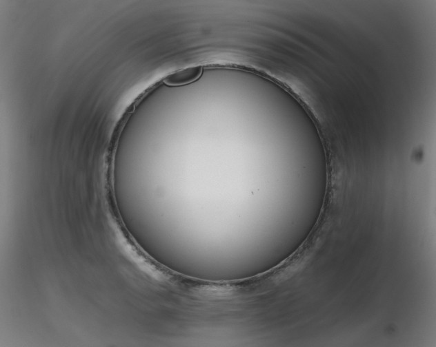 X0000116841134200912181451