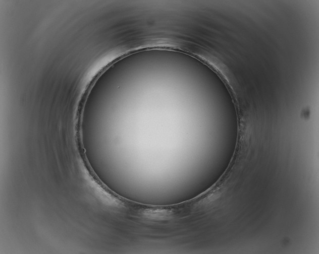 X0000116841135200912181451