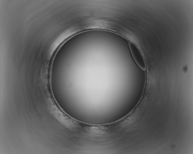 X0000116841138200912181451