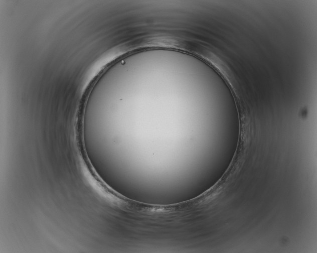X0000116841139200912181451