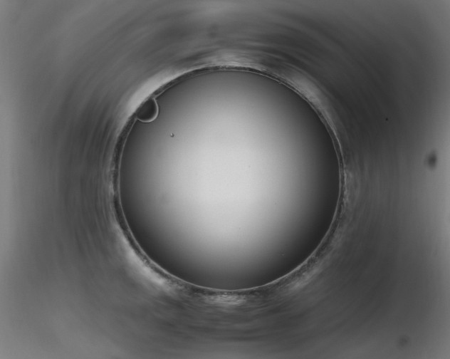 X0000116841141200912181451