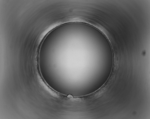 X0000116841142200912181451