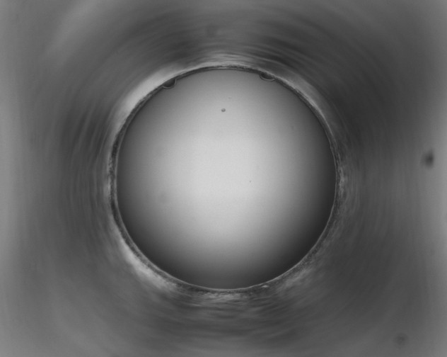 X0000116841143200912181451
