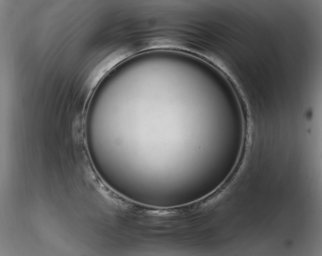 X0000116841145200912181451