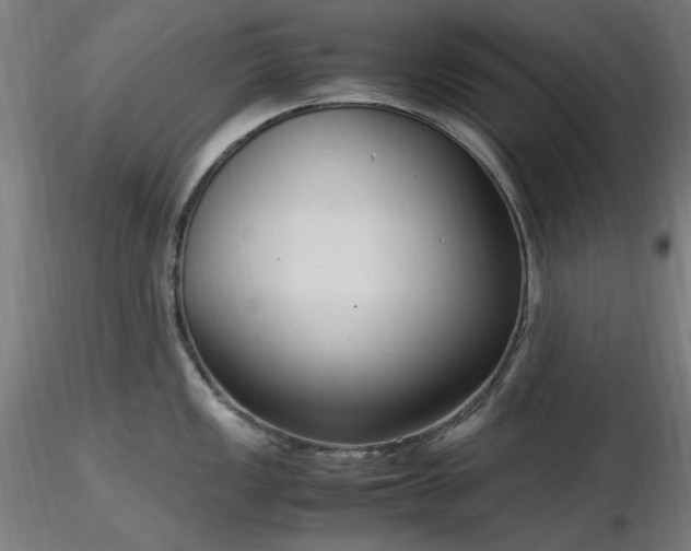 X0000116841149200912181452