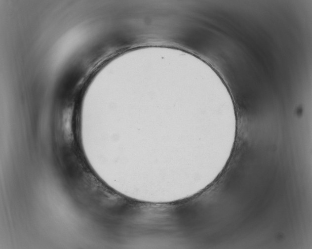 X0000116841150200912181452