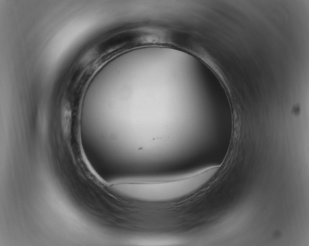 X0000116841151200912181452