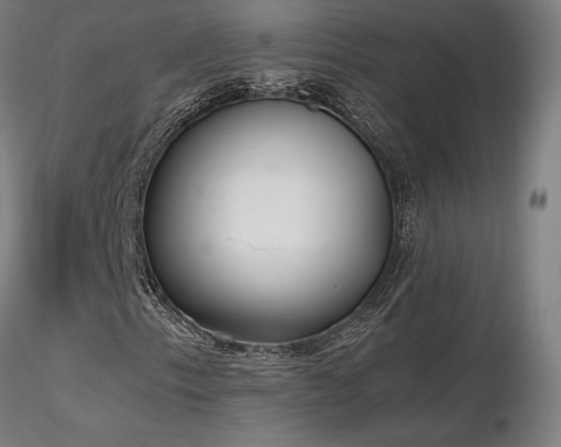 X0000116841153200912181451