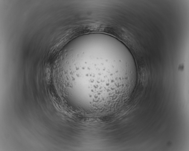 X0000116841154200912181451