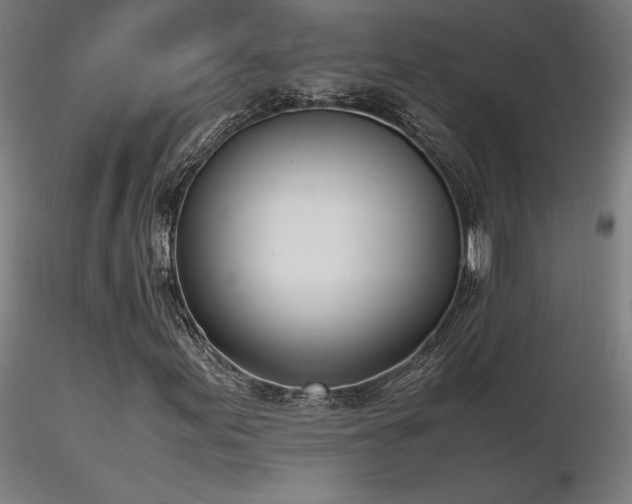 X0000116841155200912181451