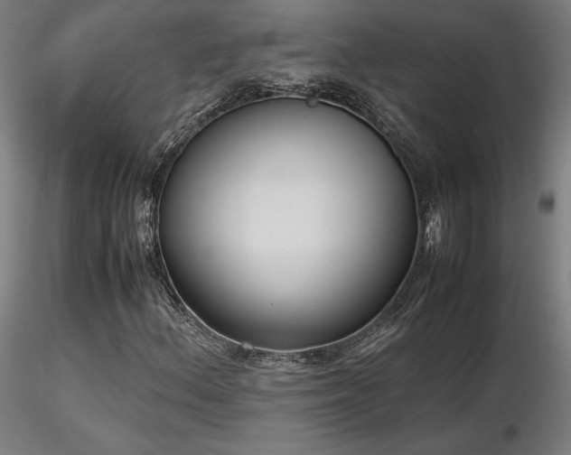 X0000116841156200912181451
