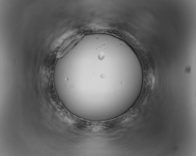 X0000116841157200912181451