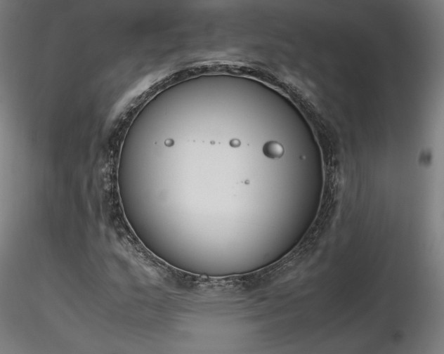 X0000116841159200912181451