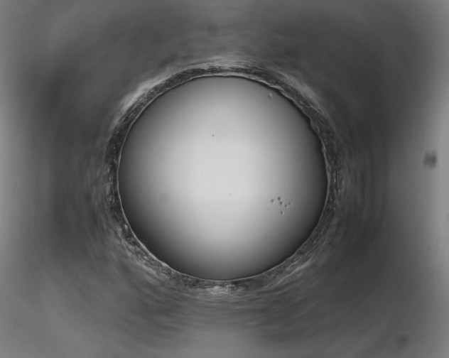 X0000116841160200912181451