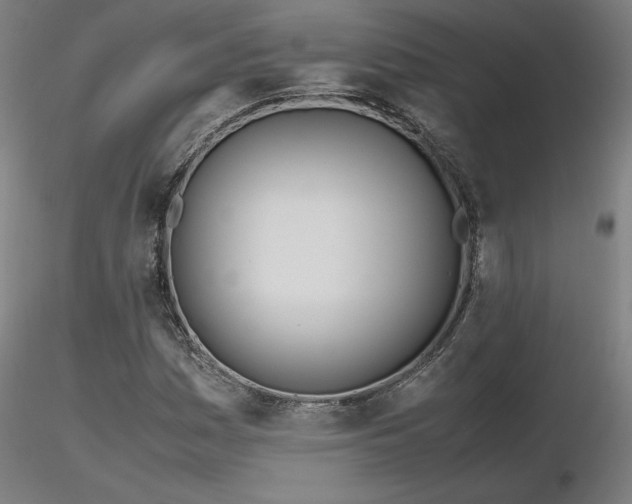 X0000116841161200912181451