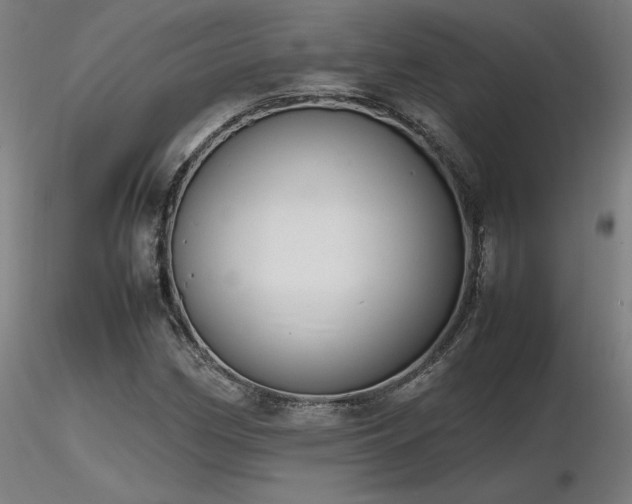 X0000116841162200912181451