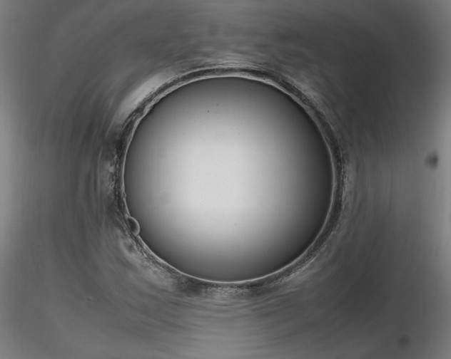 X0000116841163200912181451