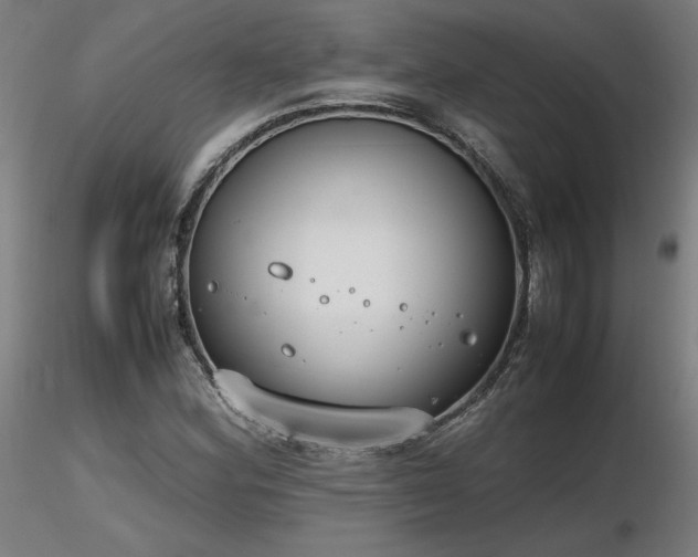 X0000116841164200912181451