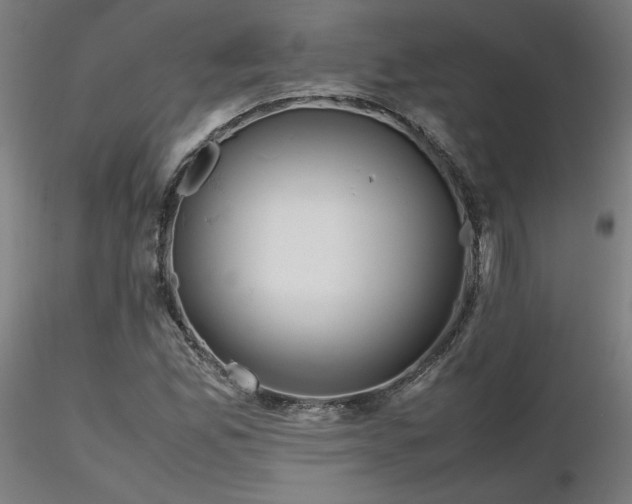 X0000116841165200912181451