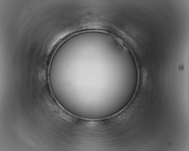 X0000116841166200912181451