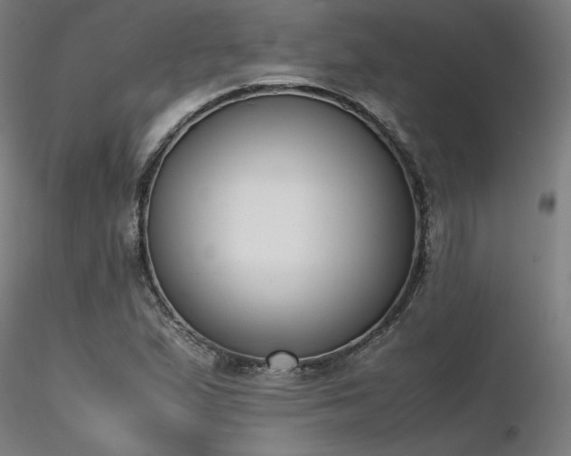 X0000116841167200912181451