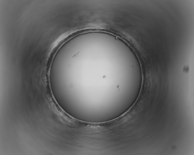 X0000116841168200912181451
