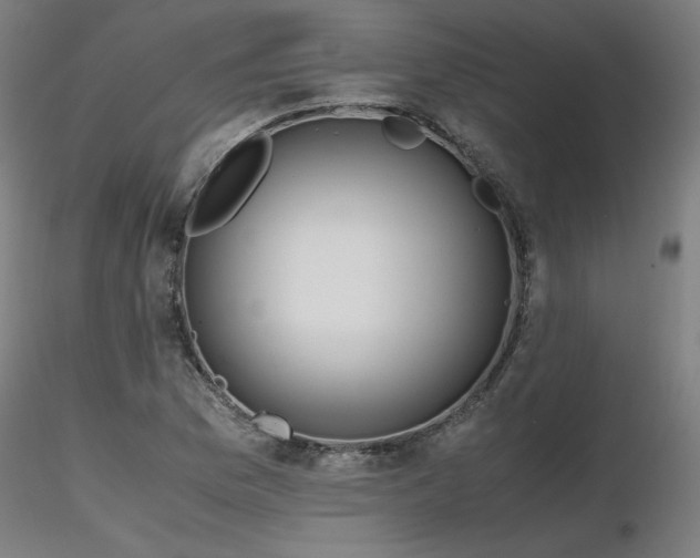 X0000116841169200912181451
