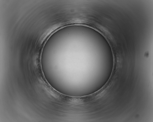 X0000116841170200912181451