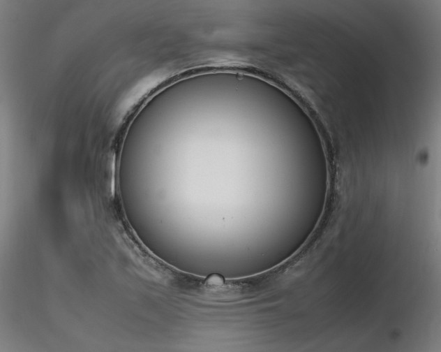 X0000116841171200912181451