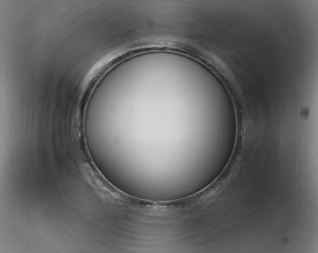 X0000116841172200912181451