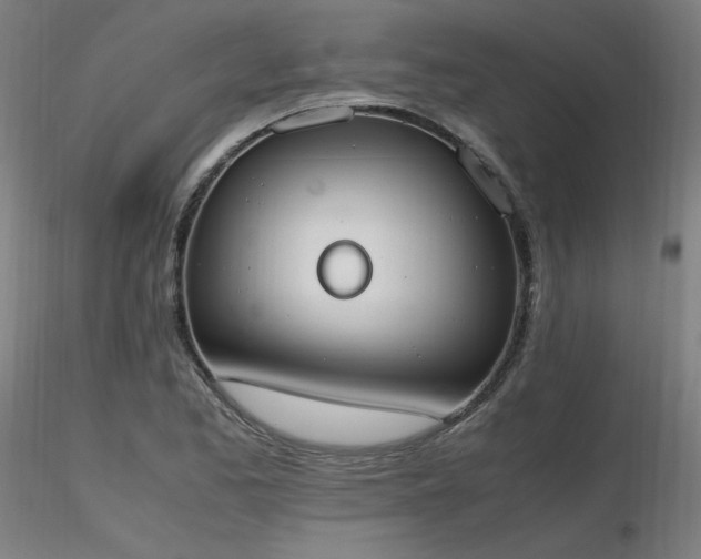 X0000116841173200912181451