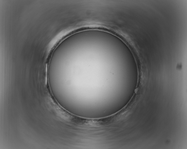 X0000116841175200912181451