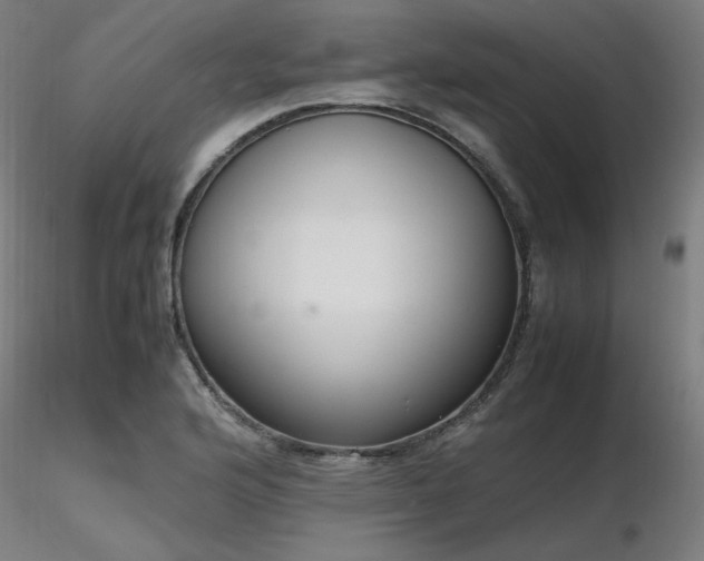 X0000116841176200912181451