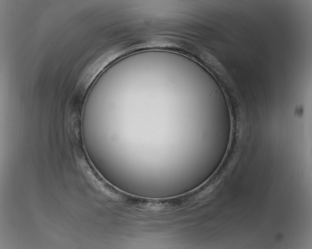 X0000116841177200912181451