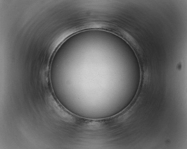 X0000116841178200912181451