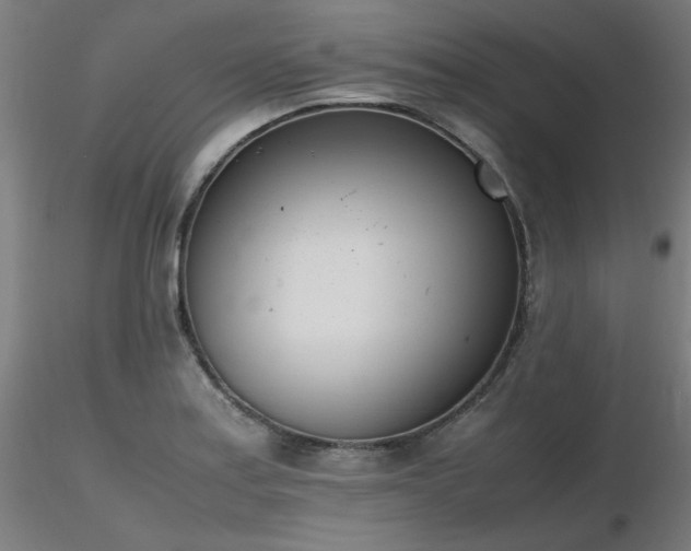 X0000116841179200912181451
