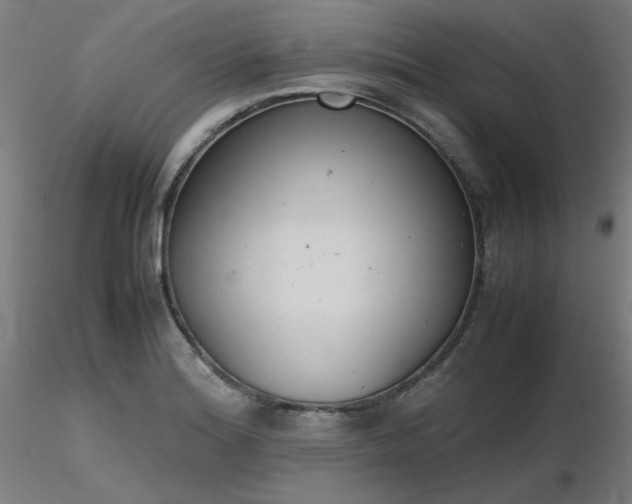 X0000116841180200912181451
