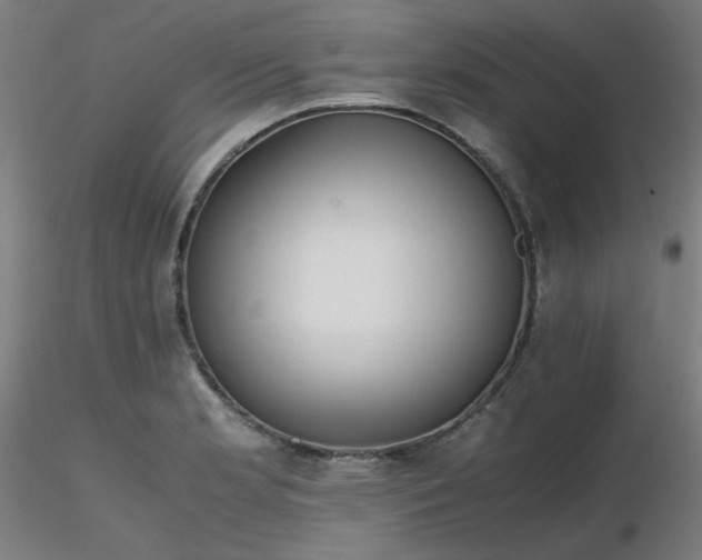 X0000116841181200912181451