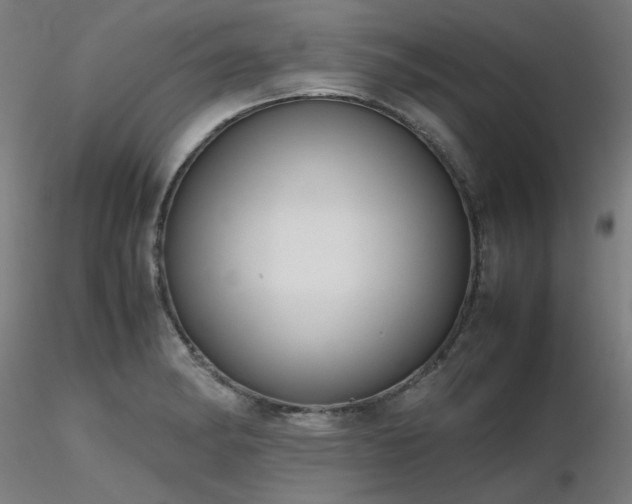 X0000116841182200912181451