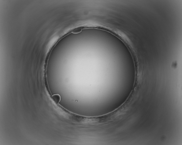 X0000116841183200912181451