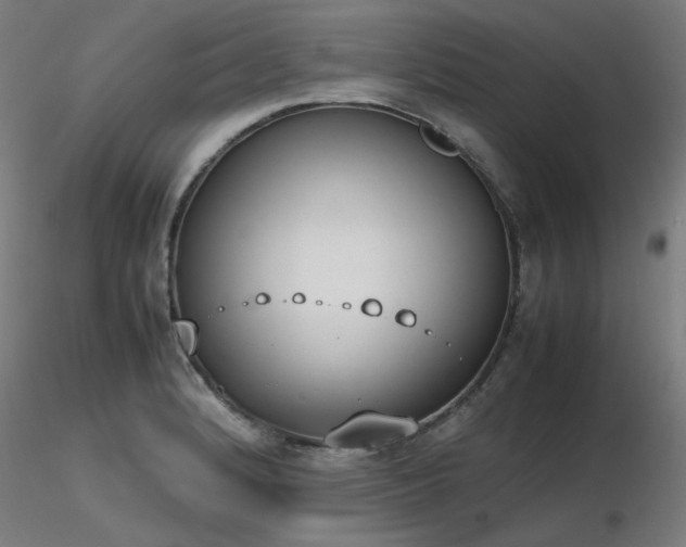 X0000116841184200912181451