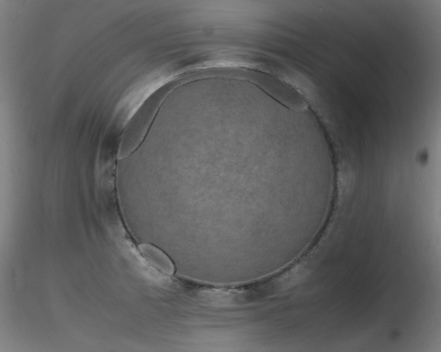 X0000116841185200912181450